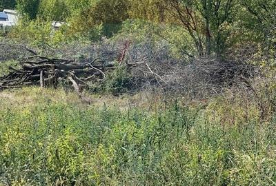 Teren de vanzare / 2,500 mp pe Malul Lacului Tancabesti /Ilfov - 9