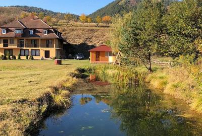 Casă cu 9 camere cu Teren 8233 Mp în Mărgău - 3