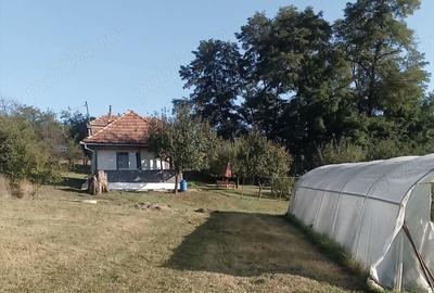 Casă cu 3 camere cu Teren 35000 Mp în Central - 8