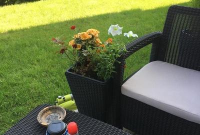 Apartament cu 2 camere decomandat, mobilat în Pipera - 6