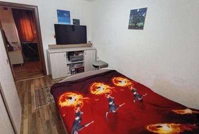 Casă cu 2 camere cu Teren 250 Mp în Lunei - 2