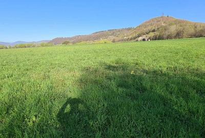 Spațiu comercial, în Central - 2