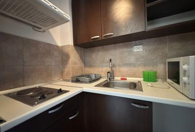 Apartament cu 2 camere decomandat, mobilat în Zorilor - 7