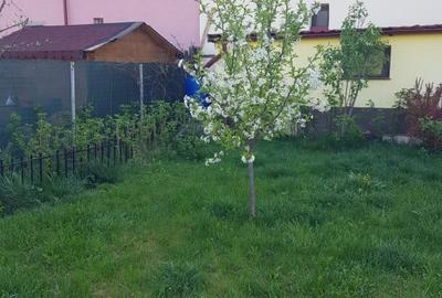 Duplex cu 4 camere cu Canalizare în Florești - 15