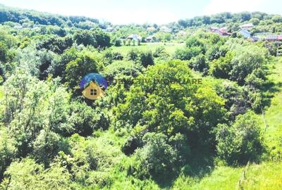 TEREN intravilan + casa  DOBRENI - SARATA - 5