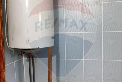 Casă cu 4 camere cu Teren 11769 Mp în Bulz - 15