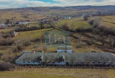 Teren de 7400 mp, în Păniceni