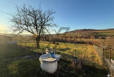 Casa cu teren, 3000mp, la 20 de minute de Cluj, Borsa - 3