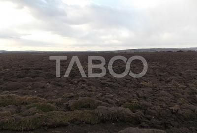 Teren intravilan de vanzare 10.000 mp in zona Industriala Vest Sibiu - 2