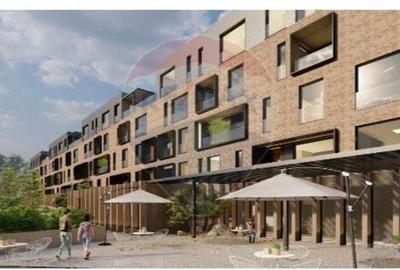 Teren Construcții intravilan de 6050 mp, în Dobroești - 9