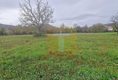 Teren intravilan de vânzare – 1.350 mp – Comuna Alexandru cel Bun - 10