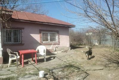 Vind casa batrineasca - 2