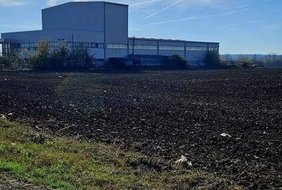 Teren intravilan 15.000 mp – DN2 Afumați - 7