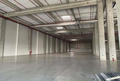Spatiu de depozitare si productie centru logistic Chitila-Buftea - 1