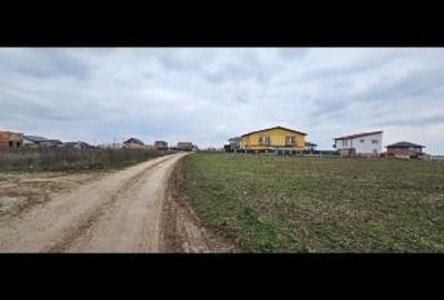 Teren comuna Berceni - 7