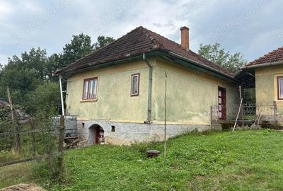 Vand casa Ormindea, Jud. Hunedoara - 2