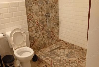 Casă cu Teren 24000 Mp în Casian - 8