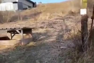 Teren de 2200 mp, în Criș - 1