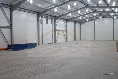 Spațiu industrial, de 574 mp, în Odăi - 1