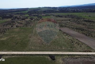 Spațiu comercial, în Marginea - 3