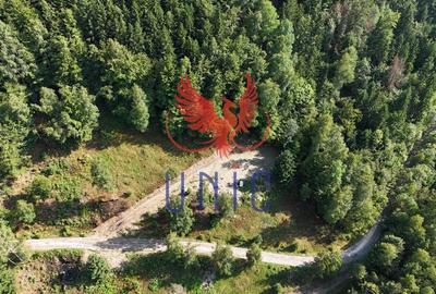 18000 mp de natura pura ,Lupeni, langa Straja - 23