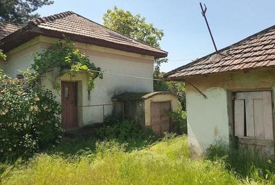 Teren de 2714 mp, în Dobrești