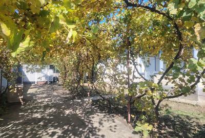 Casa in comuna Fra?e?ti - 4