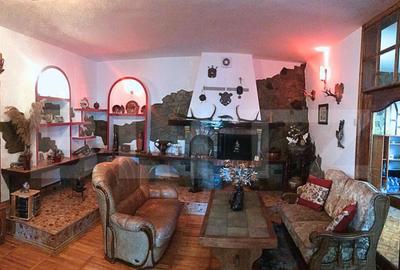 Domeniu Rustic Autentic la 3 Minute de Targovi?te Natu - 13