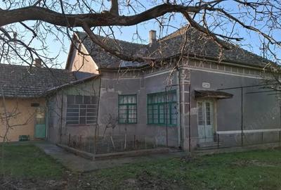 Casă cu 3 camere cu Teren 3600 Mp în Central - 16