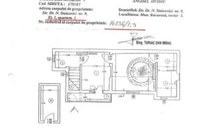 Vila Cotroceni singur in curte - 10