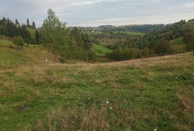 Spațiu comercial, în Măguri - 3