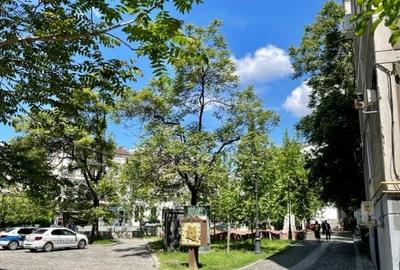 Garsonieră semidecomandată, mobilată în Unirii - 14