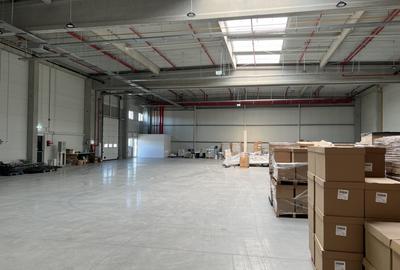 Hala moderna / Productie / Depozitare - 2