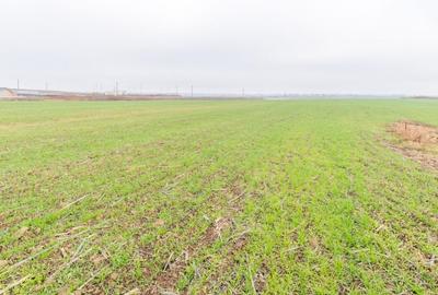 CERNICA - POSTA - TEREN INTRAVILAN CONSTRUCTII 15000 MP! - 12