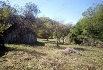 Casă cu 3 camere în Hălmagiu - 2