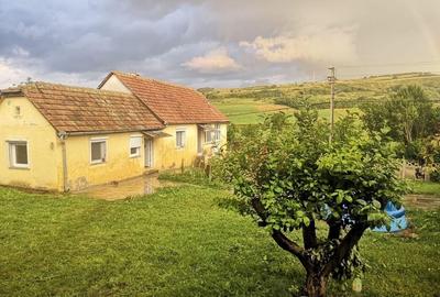 Casă cu 3 camere în Păuca - 7