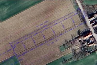 Teren de 625 mp, în Sânnicolau Român