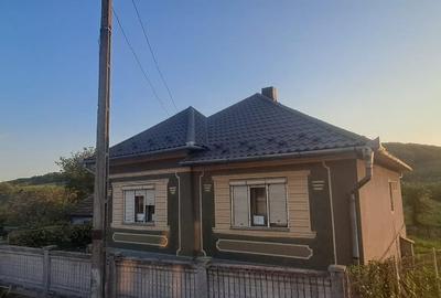 Casă individuală cu 3 camere cu Teren 1400 Mp în Rusu de Sus - 11