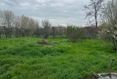 Vand casa cu teren mare 1454 metri - 3