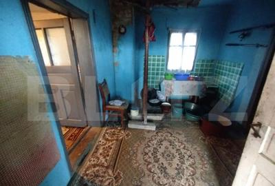 Casa batraneasca,55mp utili, teren aferent 2700mp+1ha teren - 7