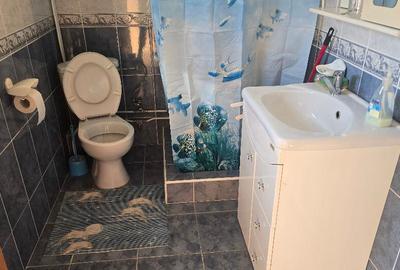 Vand proprietate in Deva. zona Ceangai, compusa din 2 case de locuit, Vand proprietate in Deva. zona Ceangai, compusa din 2 case de locuit, - 16