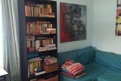 VAND PARTER+DEMISOL VILA + 416MP TEREN IN ZONA PARCUL CAROL-SOSEAUA VIILOR - 4