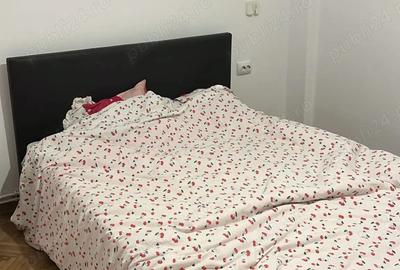 Apartament cu 2 camere decomandat în Gruia - 5