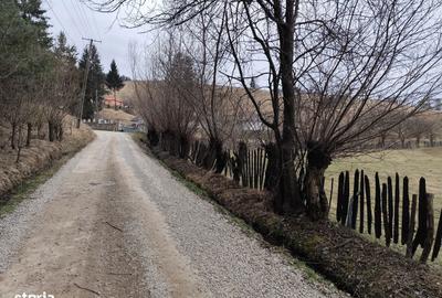 Teren de 719 mp, în Central