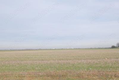 Teren de 270000 mp, în Gherghița - 1