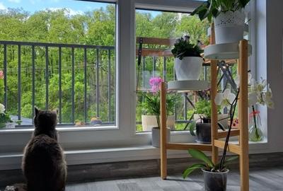 Apartament cu 3 camere semidecomandat, mobilat în Mogoșoaia - 3