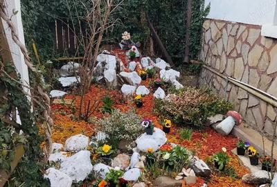 Casă cu 6 camere cu Teren 240 Mp în Transilvaniei - 2