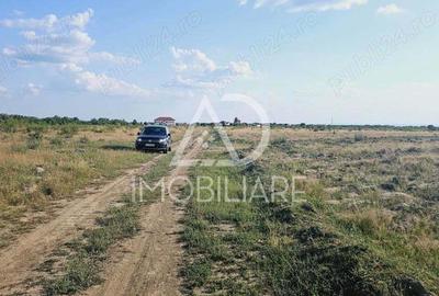 Teren de vanzare Preajba Teren de vanzare Preajba - 4