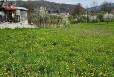 Teren vanzare in comuna Adunati - zona BREAZA - Prahova Teren vanzare in comuna Adunati - zona BREAZA - Prahova - 3
