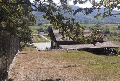 Casă cu 6 camere decomandat cu Teren 19200 Mp în Creaca - 10